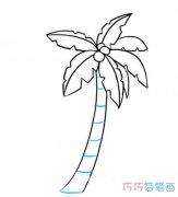 海边椰子树简笔画怎么画简单好看