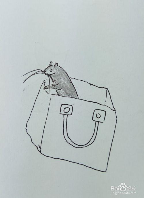 怎样画儿童简笔画兜里的小老鼠