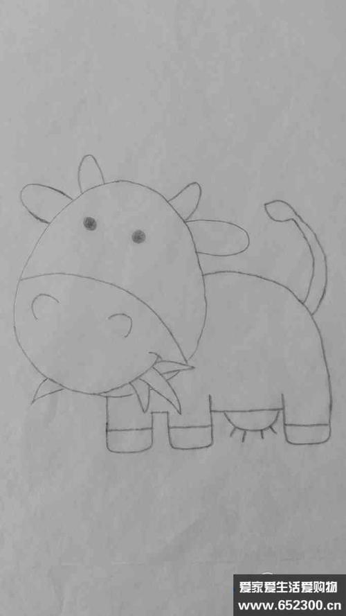 如何画小奶牛吃青草的简笔画