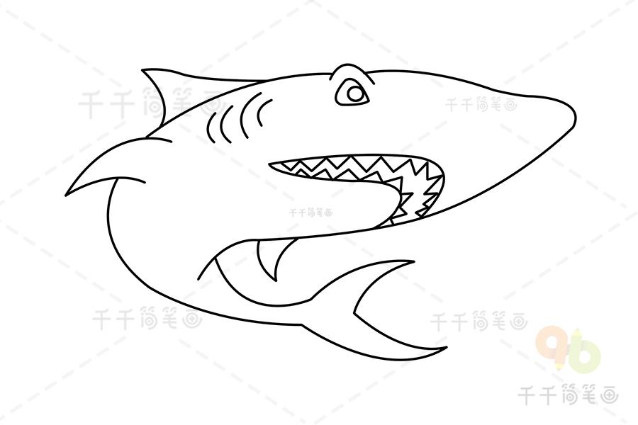 适合儿童画的鲨鱼简笔画鲨鱼简笔画
