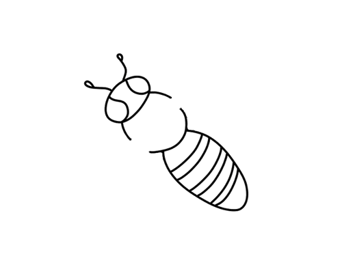 爬行的蜜蜂简笔画图片简笔画巴士英语网