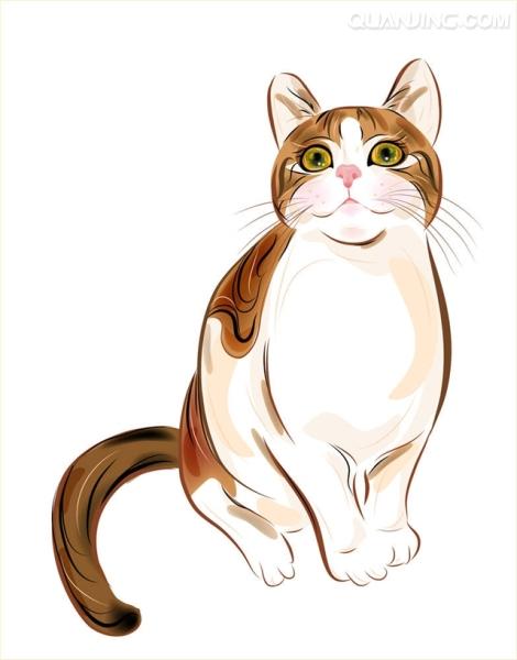 虎斑猫的彩色简笔画