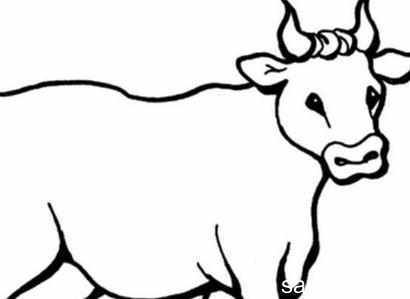简笔画牛的侧身画法 简笔画图片大全-蒲城教育文学网