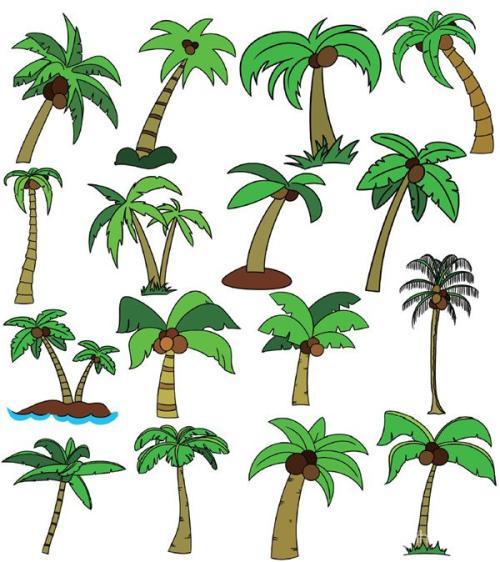 椰子树简笔画图片大全海滩椰子树简笔画图片大全