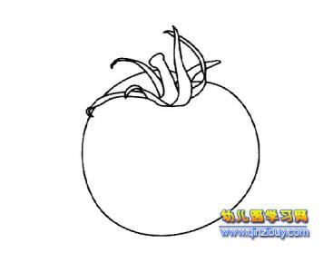 黄瓜西红柿简笔画大图