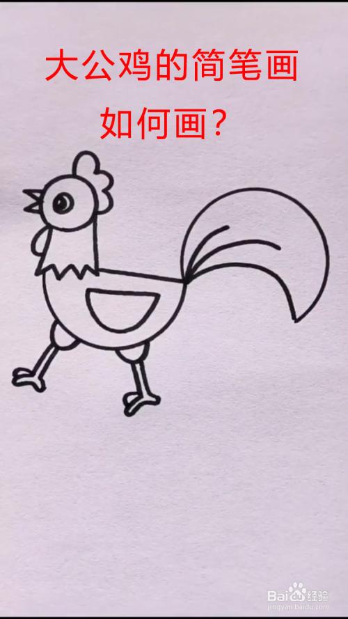 大公鸡的简笔画如何画-百度经验