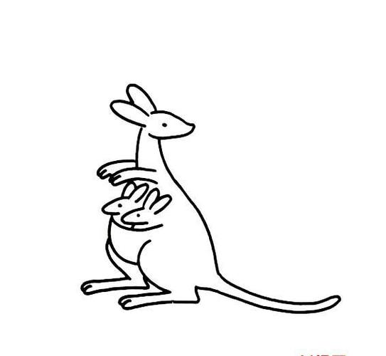 袋鼠妈妈和小袋鼠的画法动物简笔画简笔画大全