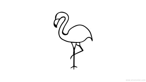 我们的白鹤就完成了 以上内容是关于白鹤简笔画的画法步骤分享希望能