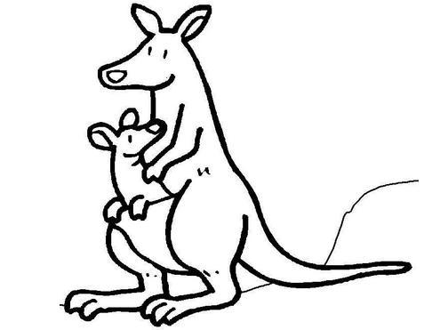 袋鼠怎么画袋鼠简笔画涂色 第1页袋鼠简笔画卡通袋鼠简笔画的画法步骤