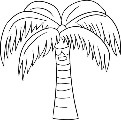 帅气的椰子树的简笔画怎么画帅气的椰子树简笔画顺序