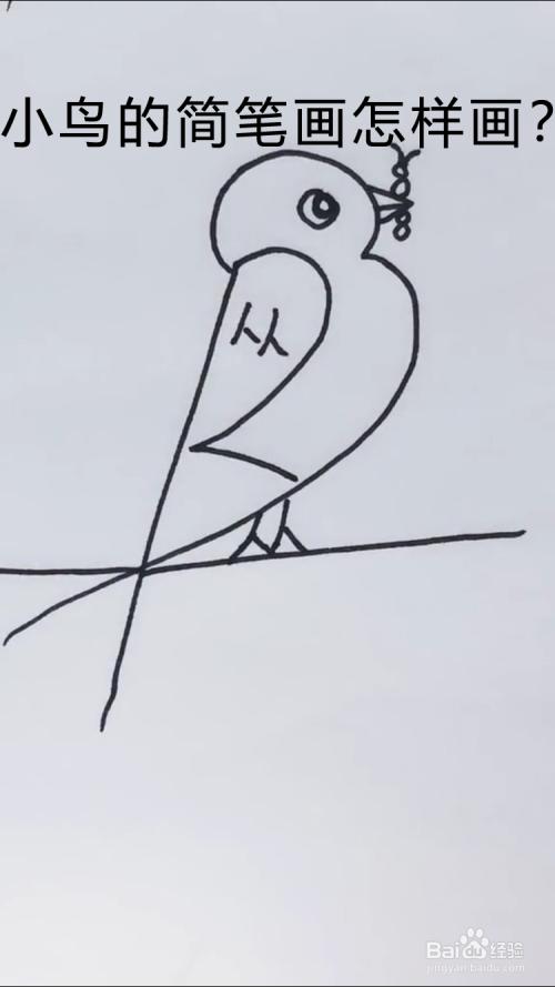 小鸟的简笔画怎样画