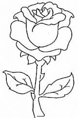 简单易学的玫瑰花简笔画图片