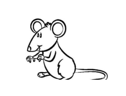 怎么画可爱的小老鼠 卡通老鼠简笔画教程