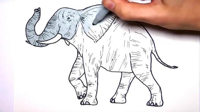 儿童涂鸦简笔画哇塞一头好大的大象呀