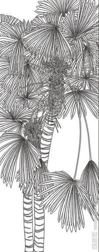 棕榈树棕榈树简笔画