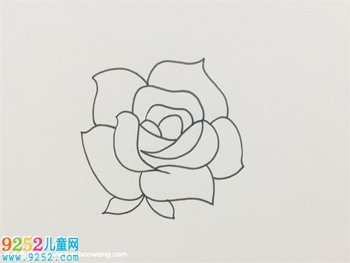 盛开玫瑰花的画法步骤 玫瑰花简笔画 - 9252儿童网