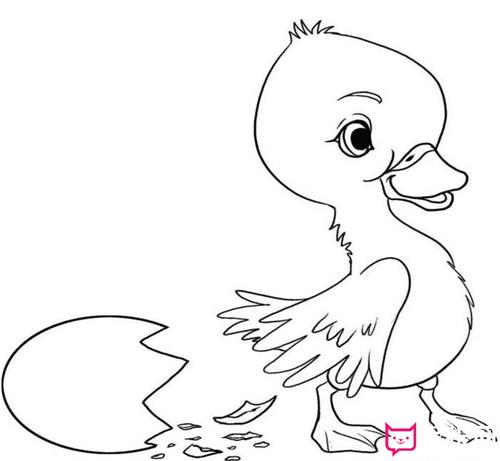 小鸭子简笔画刚出生的小鸭子