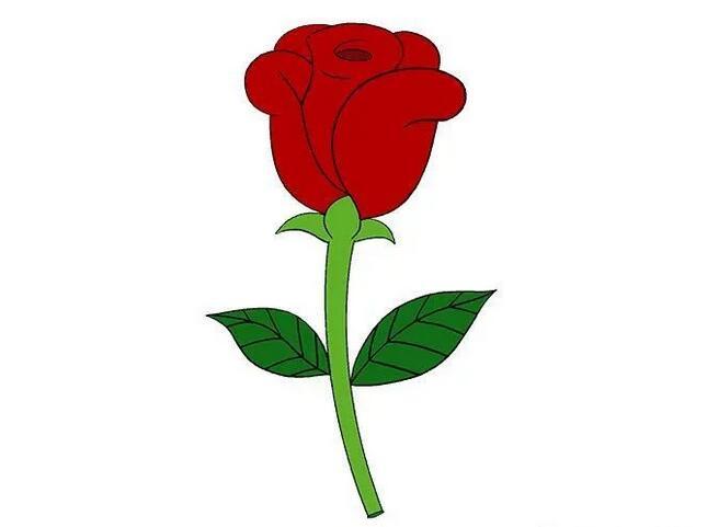 漂亮玫瑰花简笔画图片使人心旷神怡的玫瑰花简笔画画法花瓶里的花朵简