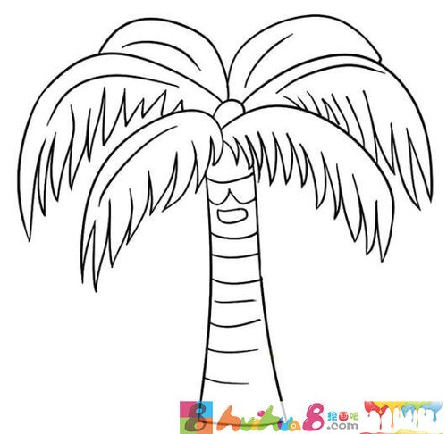 一步一步绘画椰子树的画法带步骤图简笔画教程