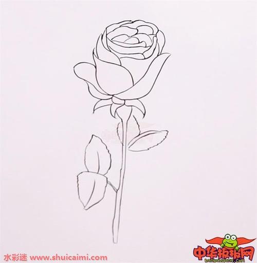 4再来给玫瑰花的茎和叶子涂上绿色漂亮的玫瑰花简笔画就完成啦
