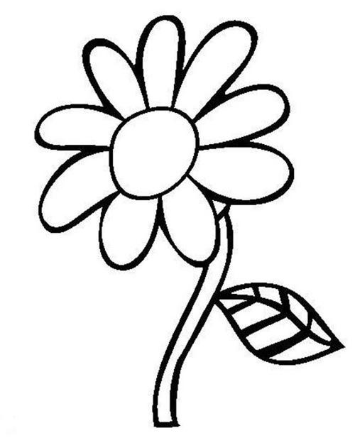 太阳花植物花简笔画步骤图片大全-儿童简笔画大全