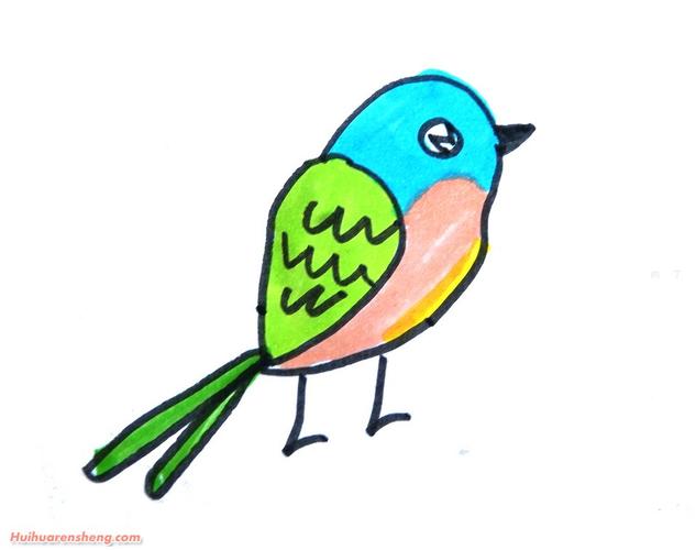 简单小鸟简笔画法步骤图解鸟类简笔画