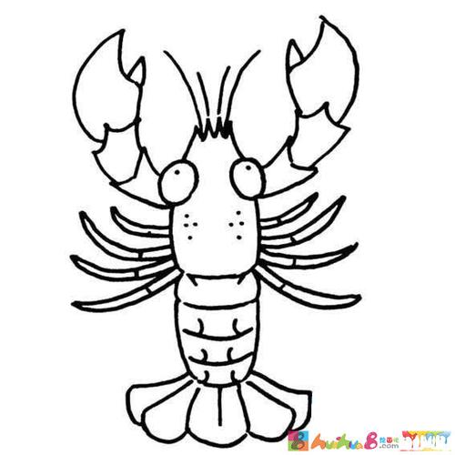9款龙虾简笔画内容包含相关儿童卡通龙虾简笔画图片大全有小龙虾的简