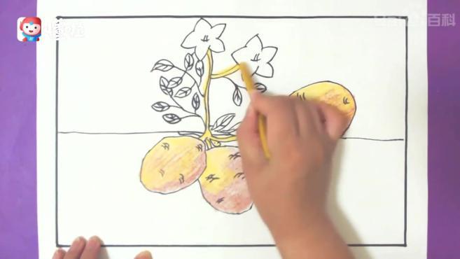 土豆简笔画怎么画6个视频
