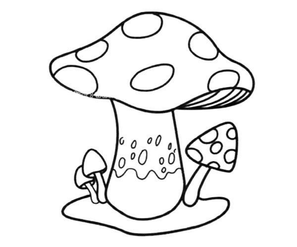 大蘑菇小蘑菇简笔画图片 大蘑菇小蘑菇怎么画 - 植物简笔画 - 老师