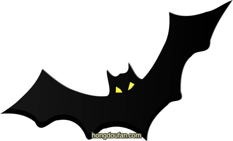 一只黑色的大蝙蝠卡通儿童简笔画大全