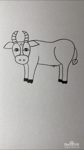牛的简笔画如何画-百度经验