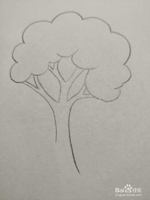彩铅简笔画小树