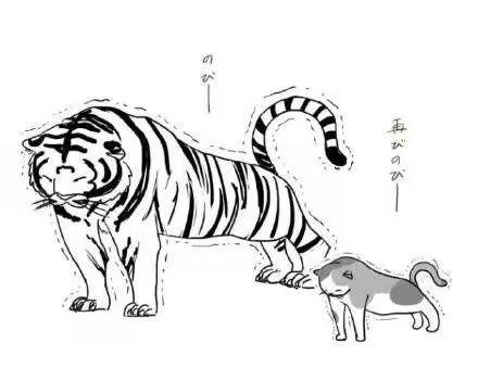 老虎的猫的卡通简笔画