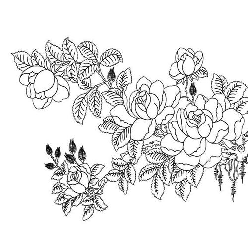 蔷薇花简笔画植物简笔画大全儿童简笔画蔷薇花的简单画法教你学画