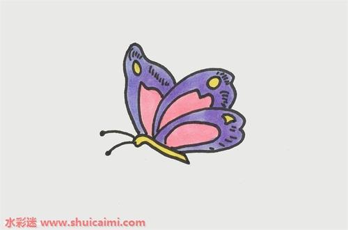 蝴蝶怎么画 一笔一画教蝴蝶简笔画彩色 - 水彩迷