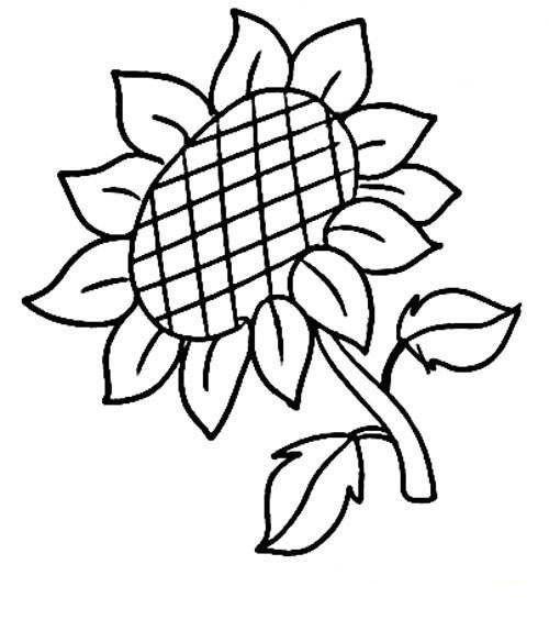 一片向日葵的简笔画