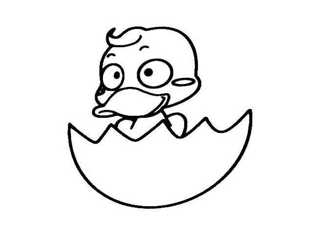 鸭子的画法刚刚出壳的小鸭子简笔画图片   可爱的小鸭子简笔画 出壳的