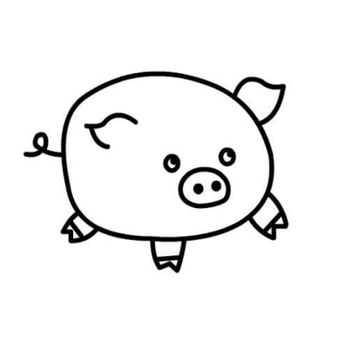 简单好看的小猪简笔画法 儿童动物简笔画图片