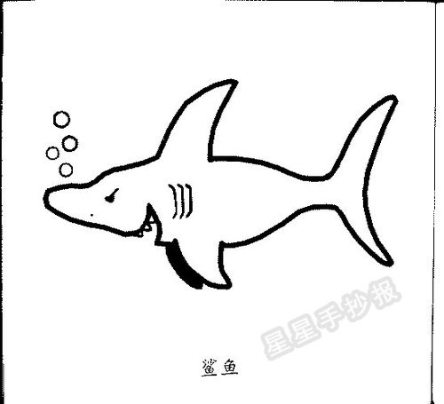 鲨鱼简笔画怎么画