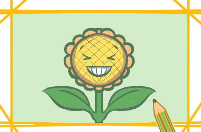 儿童简花朵微笑的画法太阳花植物简笔画简笔画大全