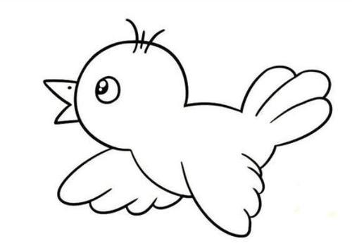 飞翔的小鸟简笔画图片小鸟儿童绘画作品图集 小鸟简笔画