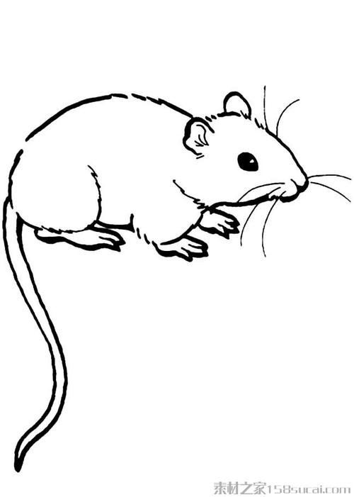 小老鼠简笔画图片大全简约风格卡通形象逃跑人物小老鼠简笔画卡通小