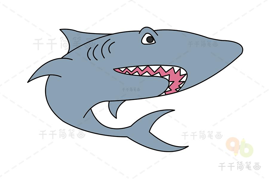 凶猛的大鲨鱼简笔画步骤图