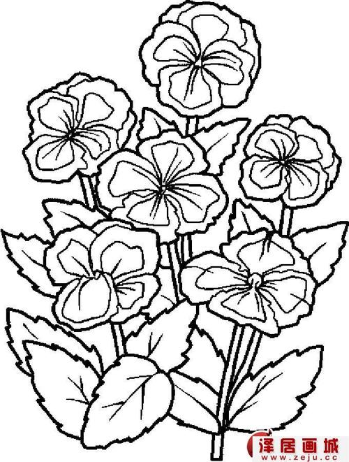 首页 绘画教程 儿童画教程 简笔画花卉大全各种植物花儿简笔画图片26