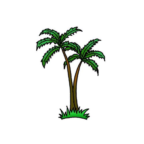 如何画棕榈树 - 简单的棕榈树简笔画教程