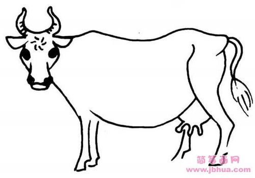 动物简笔画牛