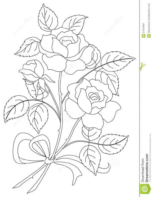 简笔画 手绘 线稿 10091300 竖版 竖屏最漂亮红色玫瑰花的画法涂颜色