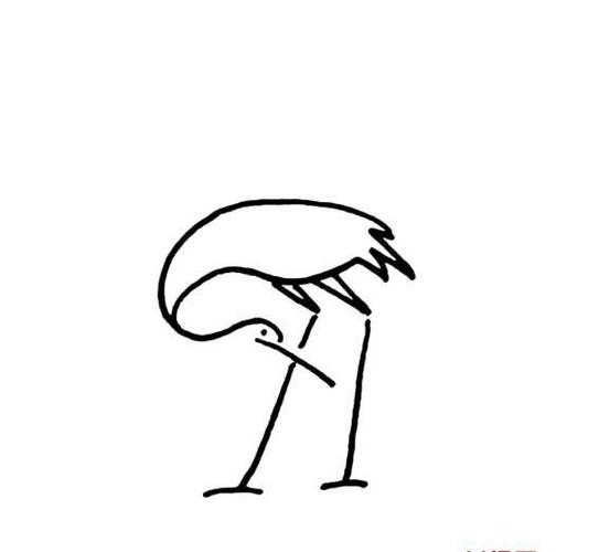 仙鹤低头的画法动物动作动物简笔画简笔画大全