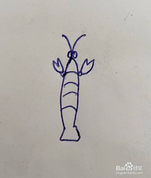 虾简笔画简笔画《虾》画法虾的简笔画画法最简单的虾的简笔画画法