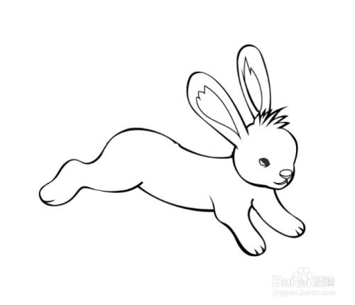 如何手工画奔跑的卡通兔子的简笔画